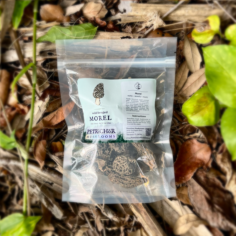 Dried Mushrooms