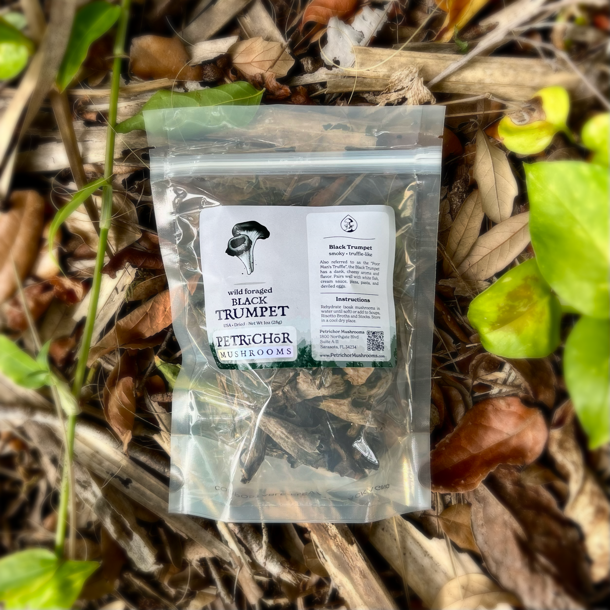 Wild Foraged Black Trumpet