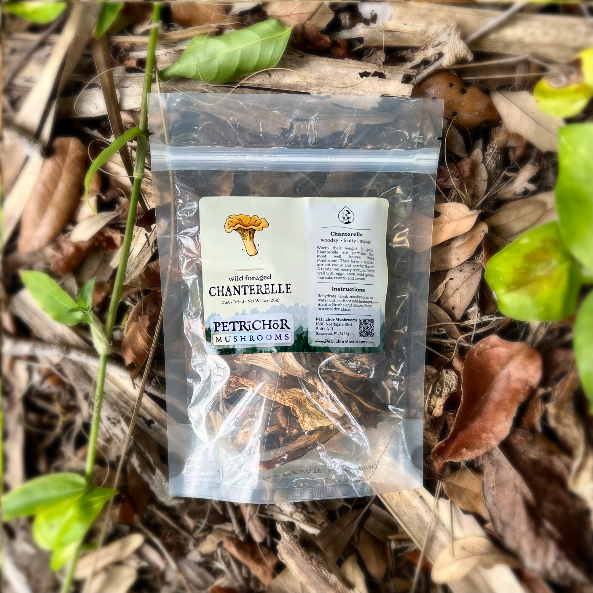 Wild Foraged Chanterelle Mushrooms