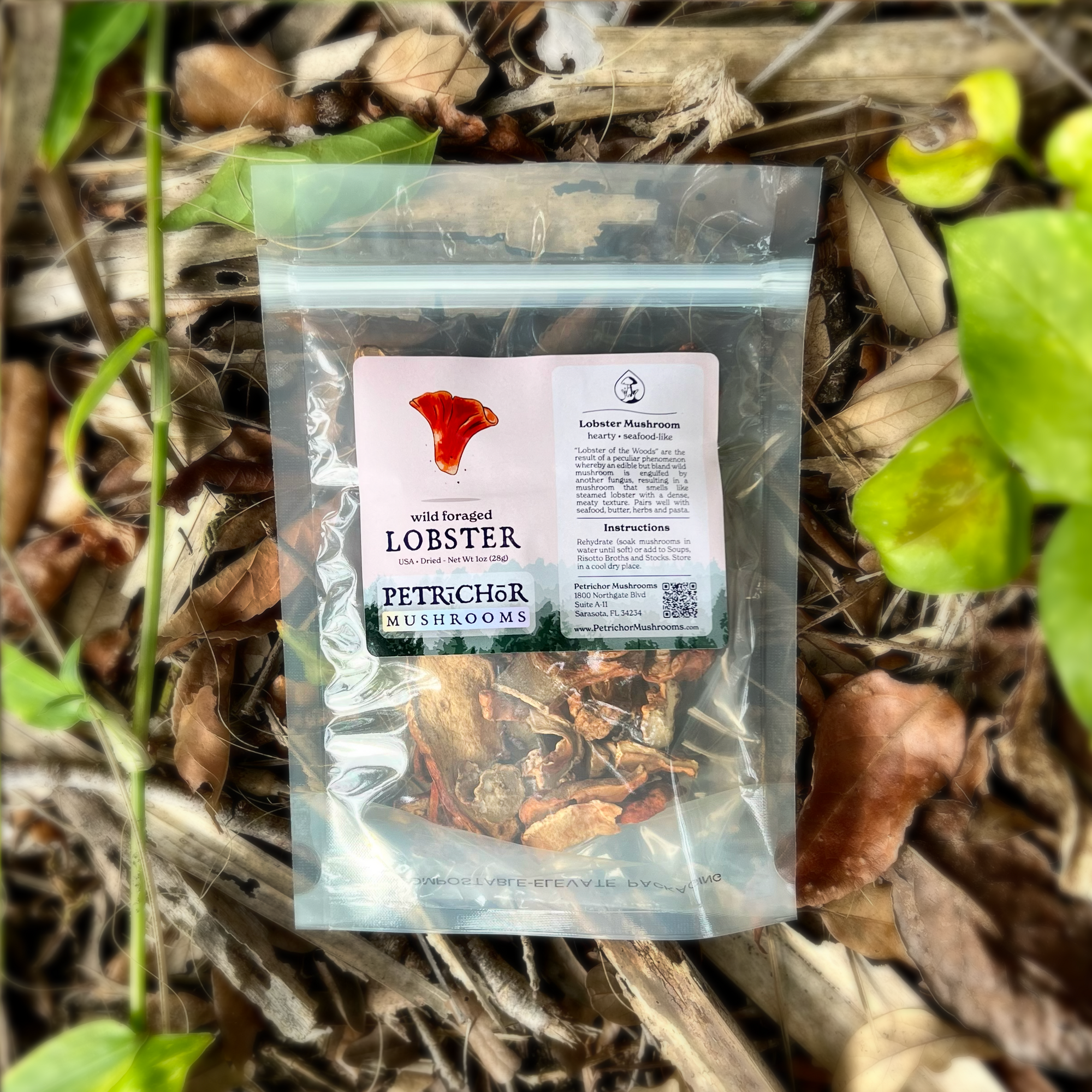 Wild Foraged Lobster Mushrooms