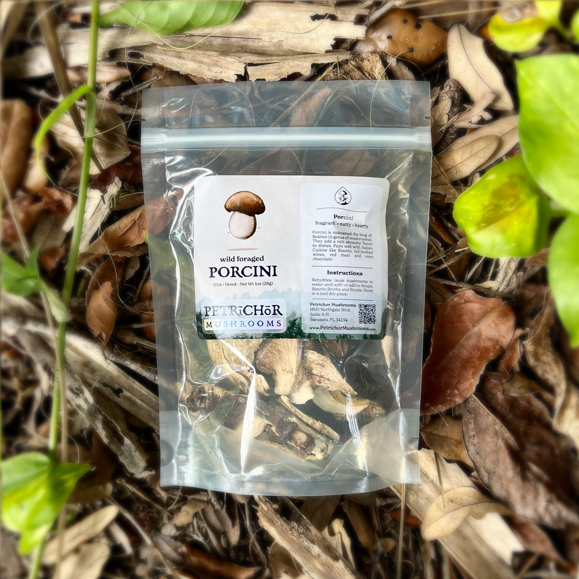 Wild Foraged Porcini Mushrooms