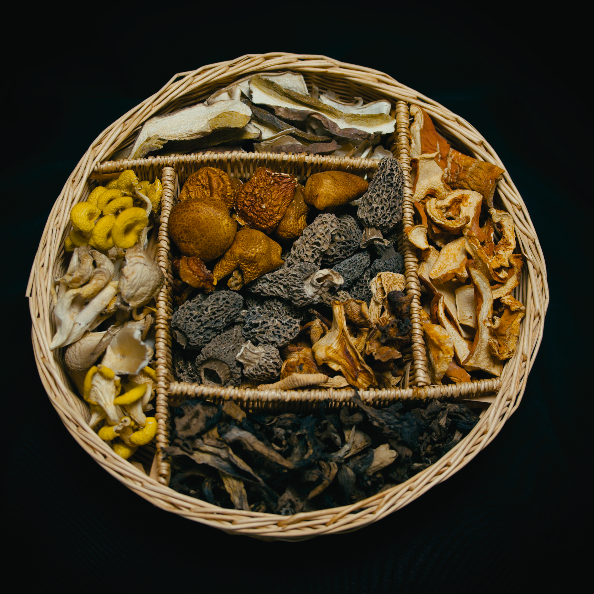 Dried Mushroom Bundle – 7-Species Variety Pack